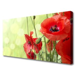 Canvas Wall art Poppies Floral Green Red