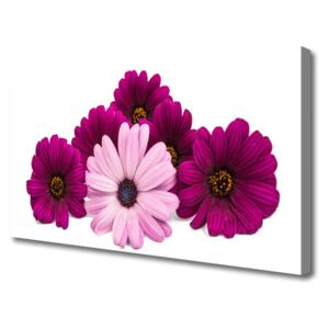 Canvas print Flowers Floral Red Pink