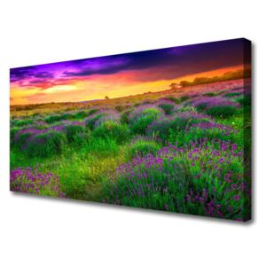 Canvas print Meadow Nature Pink Purple Green Yellow