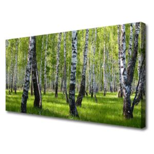 Canvas print Forest Nature Black White Green