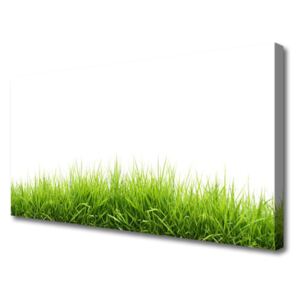 Canvas print Grass Nature Green