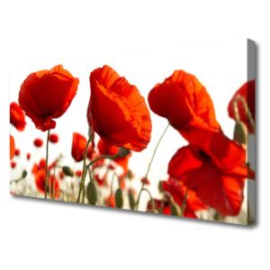 Canvas print Tulips Floral Red White