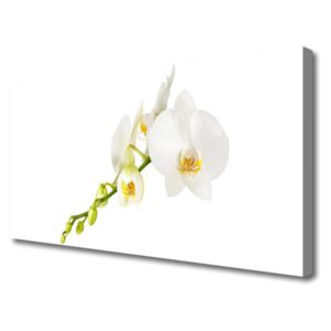 Canvas Wall art Flowers Floral White