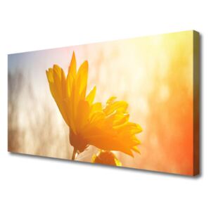 Canvas print Sunflower Floral Yellow