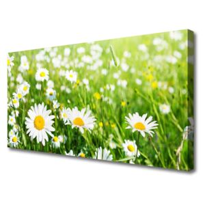 Canvas print Daisy Floral White Yellow Green
