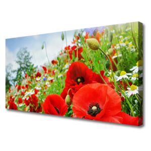 Canvas print Flowers Nature Red Green