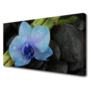 Canvas print Flower Stones Floral Purple Black