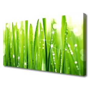 Canvas print Grass Floral Green