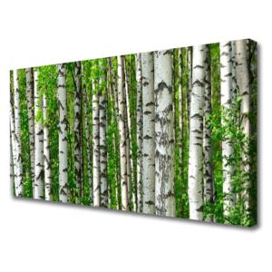 Canvas Wall art Forest Nature Black White Green