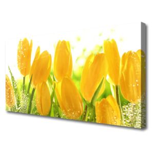 Canvas Wall art Tulips Floral Yellow Green