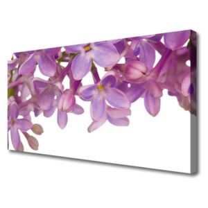 Canvas print Flowers Floral Pink