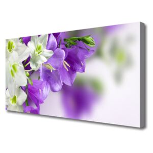 Canvas print Flowers Floral Purple White