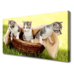 Canvas Wall art Cats Animals Grey White Brown