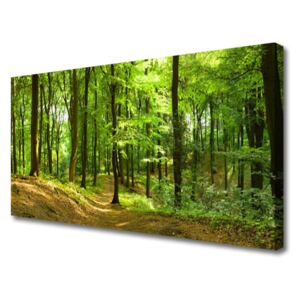 Canvas print Forest Nature Brown Green