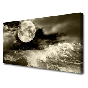 Canvas print Night Moon Landscape Grey Black