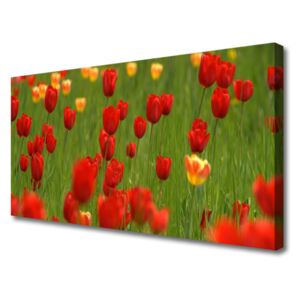 Canvas print Tulips Nature Brown Yellow Green
