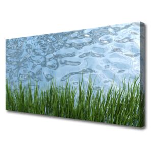 Canvas Wall art Grass Water Nature Green Blue