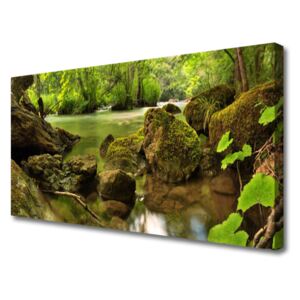 Canvas print Rock Lake Nature Green