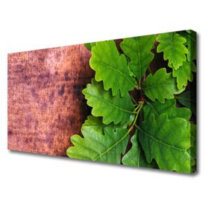 Canvas print Oak Leaves Floral Green