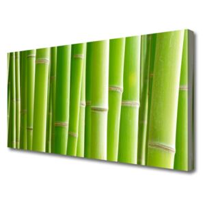 Canvas print Bamboo Stalks Floral Green