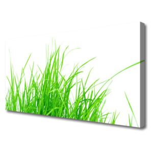 Canvas print Grass Floral Green White