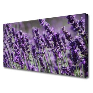 Canvas print Flowers Floral Purple