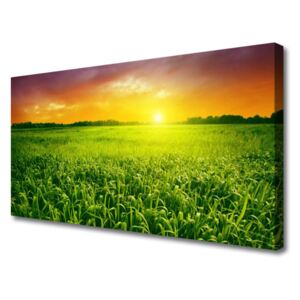 Canvas print Cereal Field Sunrise Floral Green Red