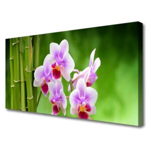 Canvas Wall art Bamboo Tube Flowers Floral Green Pink