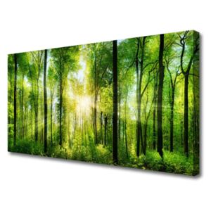 Canvas print Forest Nature Green Brown
