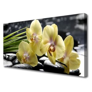Canvas print Flowers Floral Yellow