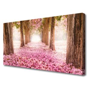 Canvas print Footpath Tree Trunks Nature Brown Pink