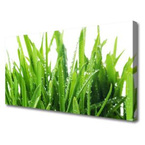 Canvas print Grass Floral Green