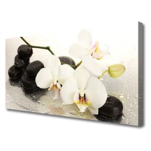 Canvas Wall art Flower Stones Art White Black