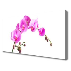 Canvas Wall art Flowers Floral Pink