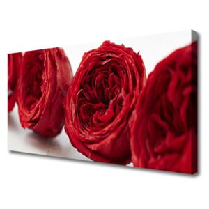 Canvas Wall art Roses Floral Red