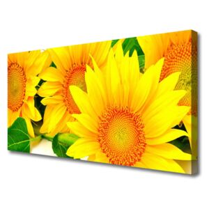 Canvas Wall art Sunflowers Floral Yellow