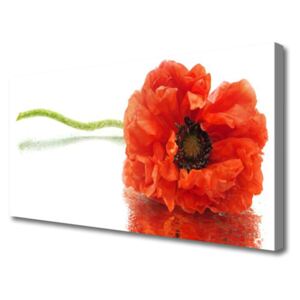 Canvas Wall art Flower Floral Red
