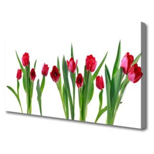 Canvas Wall art Tulips Floral Red