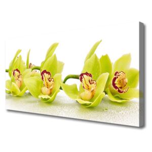 Canvas Wall art Flowers Floral Green