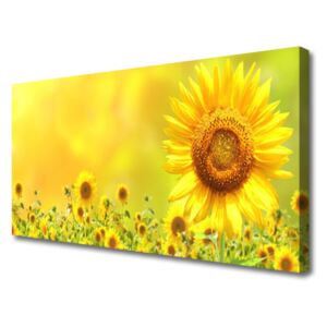 Canvas Wall art Sunflowers Floral Yellow Brown