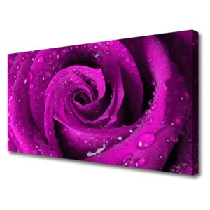 Canvas print Rose Floral Pink