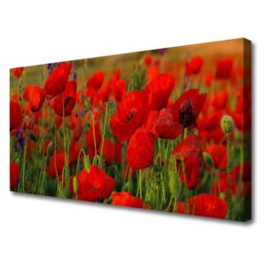 Canvas print Poppies Floral Red Green