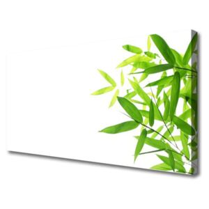 Canvas print Leaves Floral Green