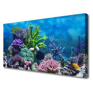 Canvas Wall art Coral Reef Nature Multi