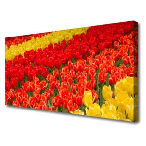 Canvas print Tulips Floral Red Yellow