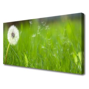 Canvas print Pusteblume Grass Floral White Green
