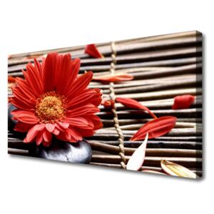 Canvas print Flower Floral Red Yellow