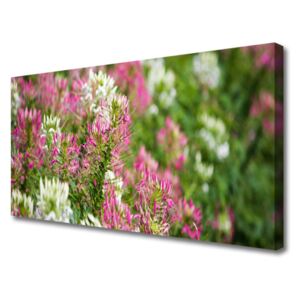 Canvas Wall art Flowers Floral Pink White Green
