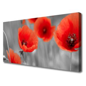 Canvas Wall art Poppies Floral Red Grey
