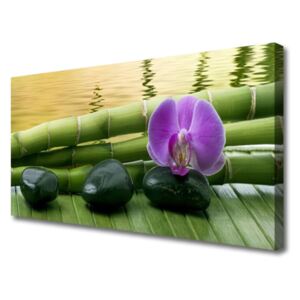 Canvas print Flower Stones Bamboo Stalks Floral Pink Black Green
